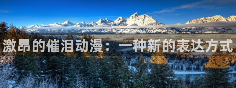 火狼动漫网站在线观看