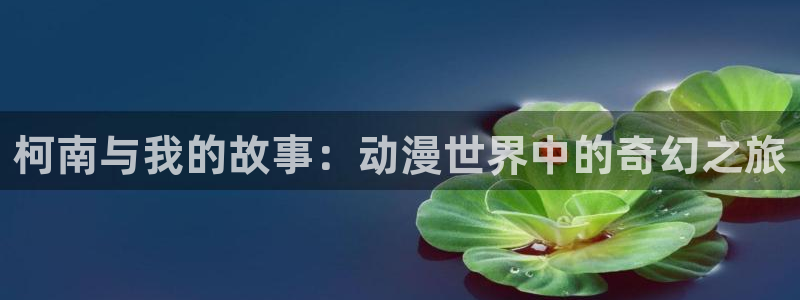 火狼影院动漫在线观看